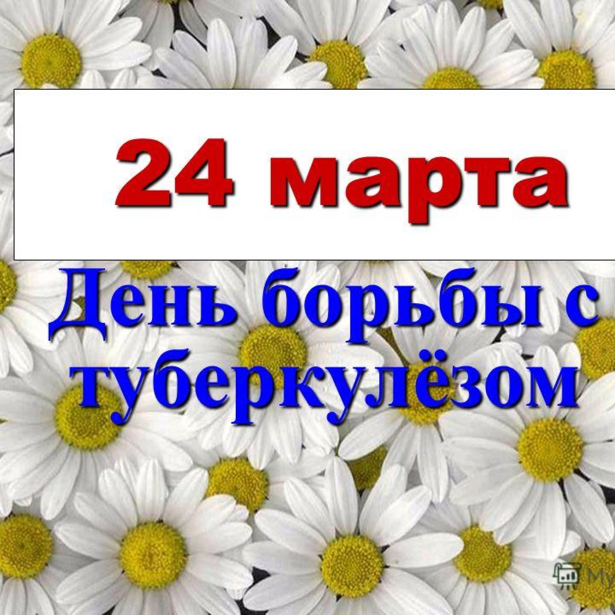 Какой праздник 24 апреля 2024 в россии. Марата 24а.